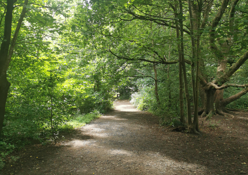 Nightingale Valley Woods